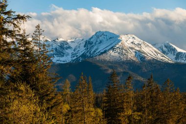 Tatra Dağları 'nın karla kaplı zirvelerinin güzel manzarası. Polonya