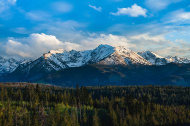 Tatra Dağları 'nın karla kaplı zirvelerinin güzel manzarası. Polonya