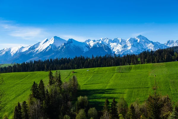 雪の美しい景色 タトラ山脈のピークキャップ ポーランド — ストック写真
