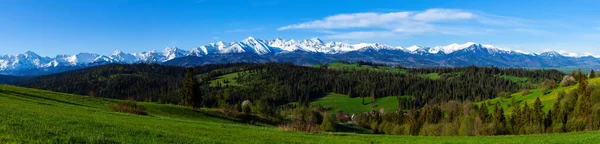 Piękna Panorama Całego Pasma Tatr Białe Szczyty Górskie Oddali Widok — Zdjęcie stockowe