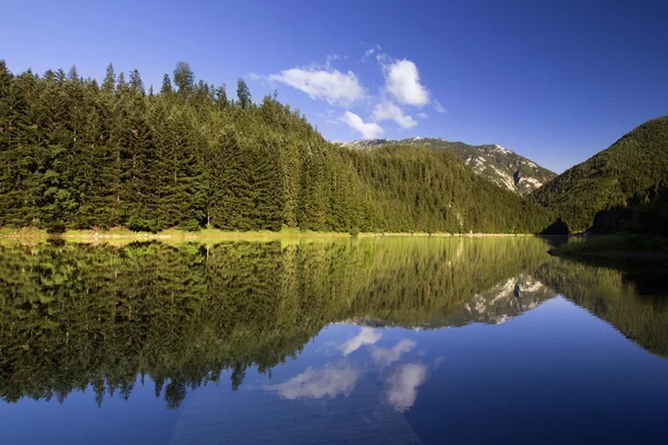 Lago na floresta — Fotografia de Stock