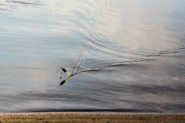 O flutuador de pesca — Fotografia de Stock