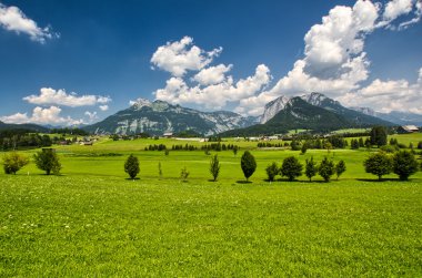 çayır Panorama Evleri