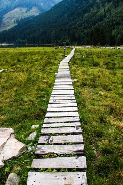 Brücke — Stockfoto