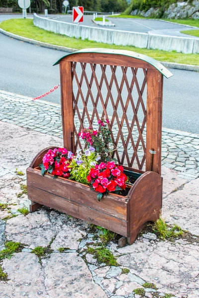 Flowerbed — Stock Photo, Image