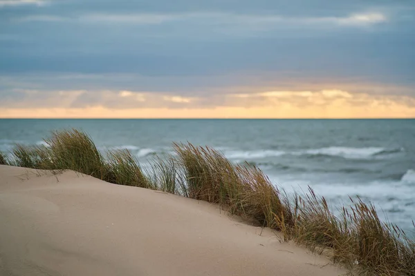 Diuna na wybrzeżu Danii z północnym morzem w tle — Zdjęcie stockowe