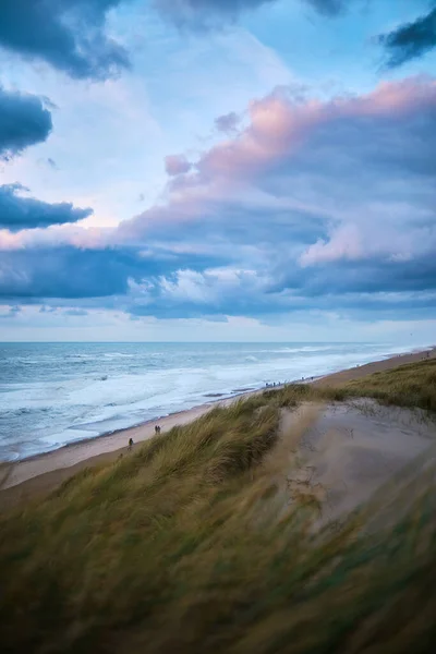 Kvällsljus över Vejlby Klits sanddyner i norra Danmark — Stockfoto