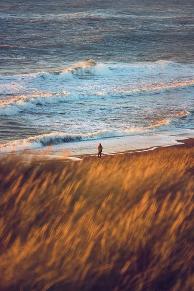 Vrouw die in de avondzon aan het strand staat — Stockfoto