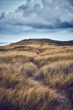 Fırtınalı havalarda Veljby Klit 'in kum tepelerinde yol