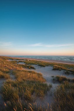 Danimarka 'nın batı kıyısındaki kum tepeleri