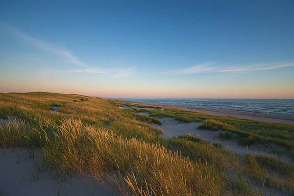 저녁 햇살이 비치는 덴마크 서부 해안의 모래 언덕 — 스톡 사진