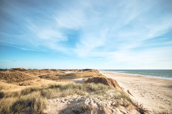 여름철 날씨가 가장 좋은 북쪽해 안의 모래 언덕 — 스톡 사진