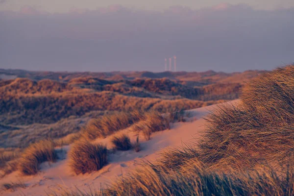 Dunes at the north sea coast in first sunlight in the morning — Zdjęcie stockowe