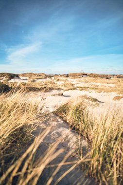 Kumullarda, Sanish Kuzey Denizi 'nde tatil. 