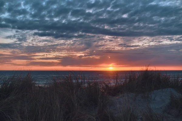 Sunset Dunes Coast High Quality Photo — Stock Photo, Image