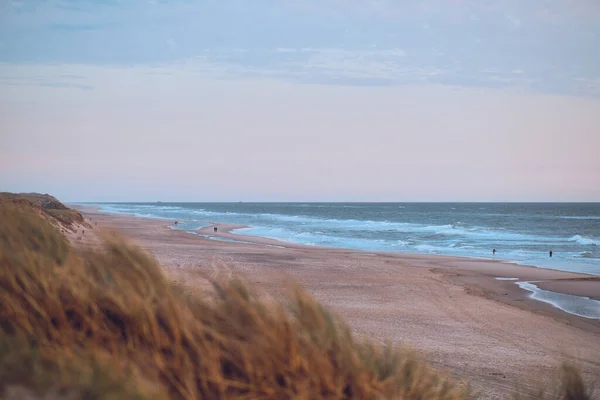 Szerokie Wydmy Piaszczysta Plaża Duńskim Północnym Wybrzeżu Morza Wysokiej Jakości — Zdjęcie stockowe