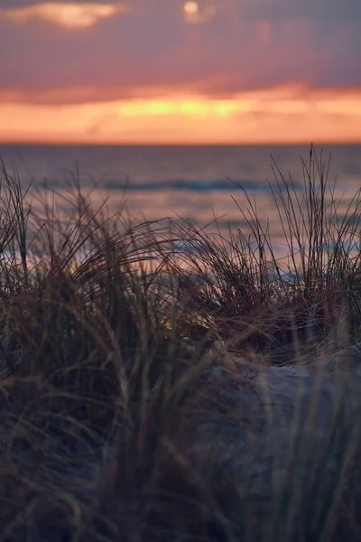 Tramonto Dune Sulla Costa Foto Alta Qualità — Foto Stock