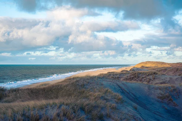 Beach Dunes Danish Coast High Quality Photo — Zdjęcie stockowe