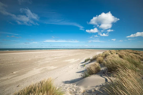 Strand Skagen Der Spitze Dänemarks Hochwertiges Foto — Stockfoto