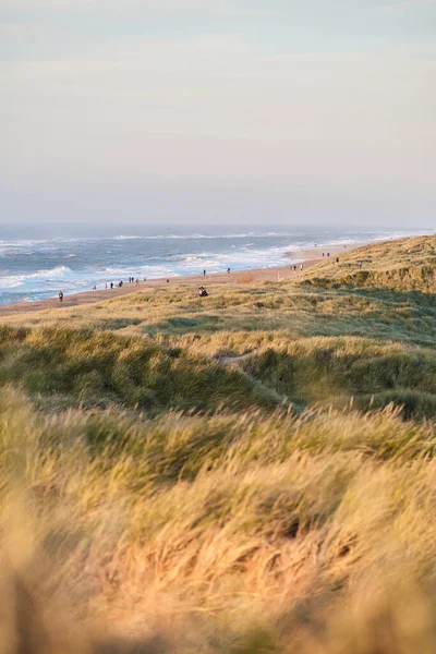 Dunes Sand Beach Danish North Sea Coast High Quality Photo — Zdjęcie stockowe
