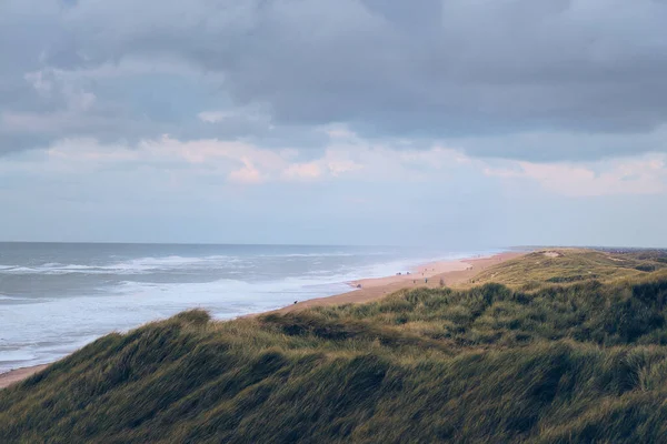 Large Dunes Danish North Sea Coast High Quality Photo — Zdjęcie stockowe