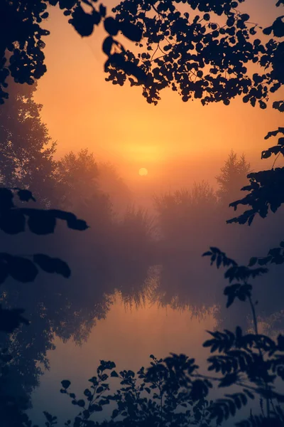 Misty Morning Countryside Northern Germany High Quality Photo — Stockfoto