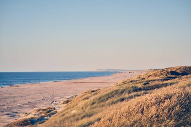 Beach at the Jammerbugt in norther Jutland in Denmark. High quality photo