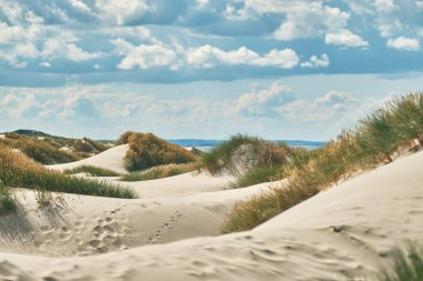 sand dunes at the danish coast. High quality photo