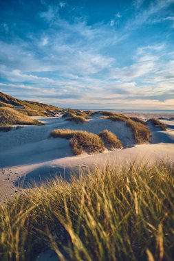 Danish Coast in northern Jutland. High quality photo