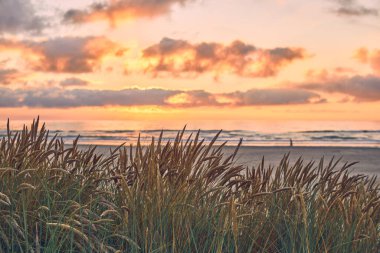 Sunset at the danish coast at Saltum Strand. High quality photo