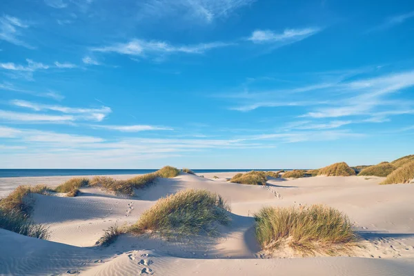 Wide Sand Beach Northern Denmark High Quality Photo — Zdjęcie stockowe