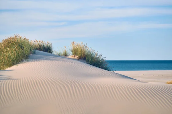 Sand Dune Danish Beach High Quality Photo — Zdjęcie stockowe
