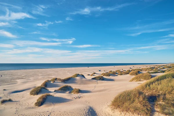Beach Gras Dunes Jammerbugt Denmark High Quality Photo — Zdjęcie stockowe