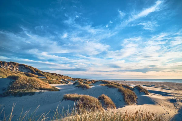 Wide Dunes Danish North Sea Shore High Quality Photo — 스톡 사진