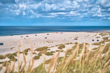 Danimarka 'daki Saltum Strand plajında arabalar. Yüksek kalite fotoğraf