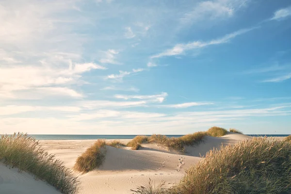 Piękna Naturalna Plaża Północnej Danii Wysokiej Jakości Zdjęcie — Zdjęcie stockowe