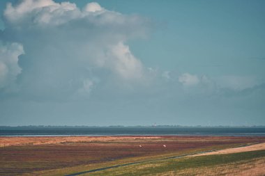 Eiderstedt 'in kuzey Alman kıyılarında tuz yürüyüşü. Yüksek kalite fotoğraf