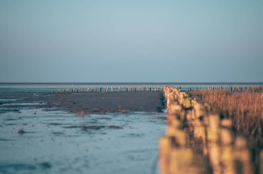 Friedrichskoog, Almanya 'da sular çekildiğinde çamurlu düzlükler. Yüksek kalite fotoğraf