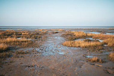 Friedrichskoog, Almanya 'da sular çekildiğinde çamurlu düzlükler. Yüksek kalite fotoğraf