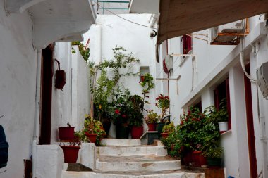 Antik Mimarlık