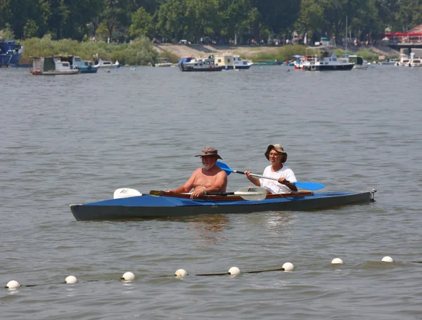 Great Zemun Regatta — Stock Photo, Image