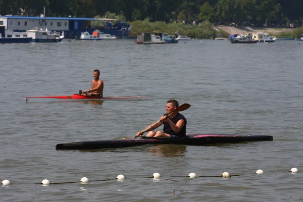 Great Zemun Regatta — Stock Photo, Image