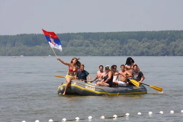 Great Zemun Regatta — Stock Photo, Image