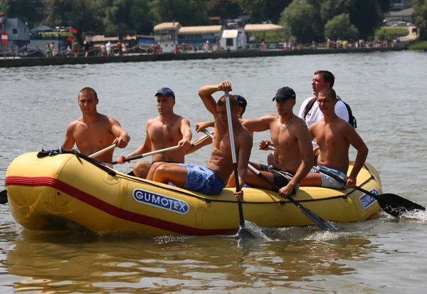 Great Zemun Regatta — Stock Photo, Image