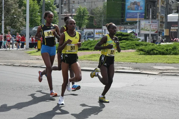 Marathon van Belgrado 2014. — Stockfoto