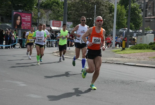 Marathon van Belgrado 2014. — Stockfoto