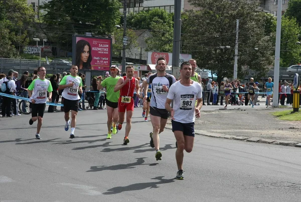 Belgrade Marathon 2014. — Stock Photo, Image