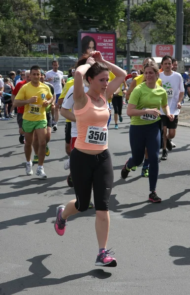 Marathon van Belgrado 2014. — Stockfoto