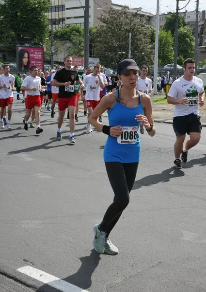 Marathon van Belgrado 2014. — Stockfoto