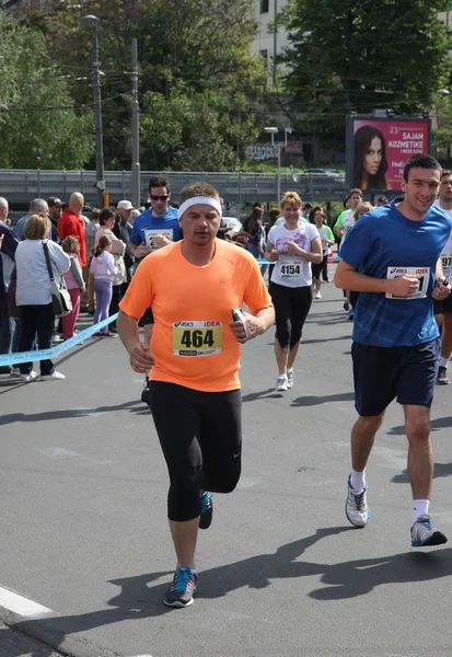 Maratona de Belgrado 2014 . — Fotografia de Stock